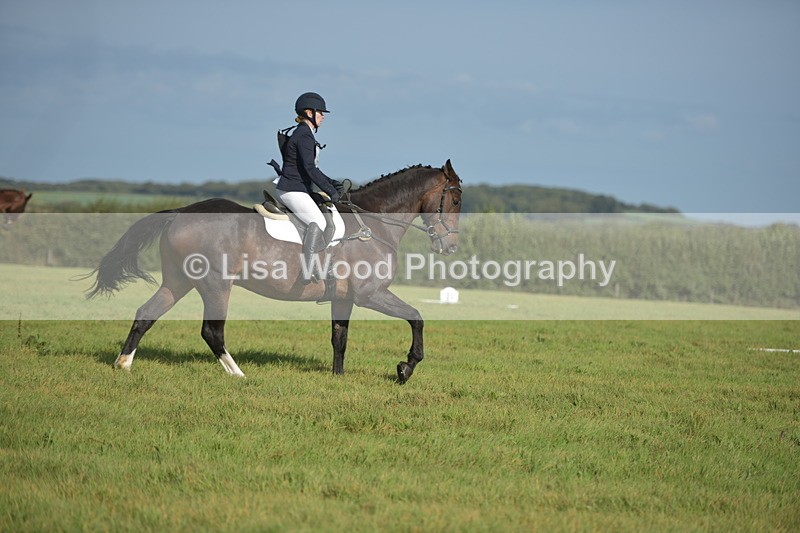 RAY_7519 - Class 2B: Trekenning Open: Dressage