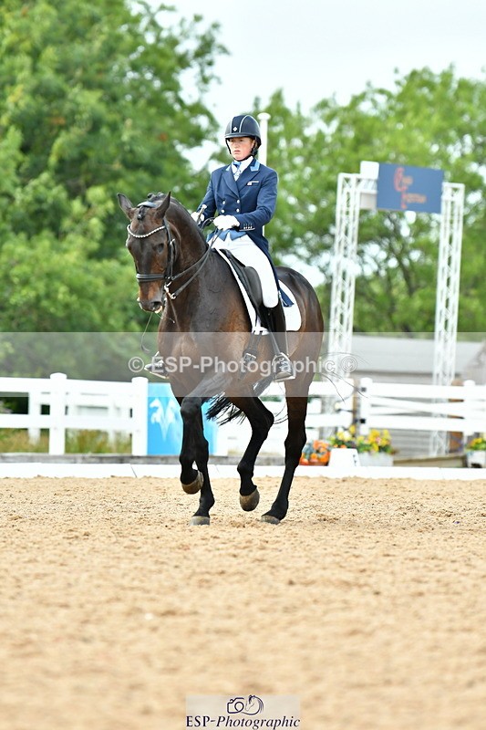 230702A-162134-11195 - Cls 37 + 42 FEI PSG + GP