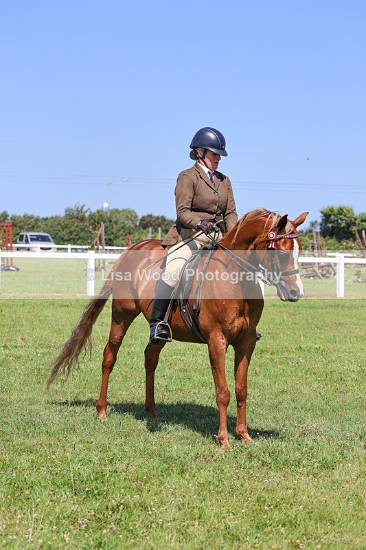 IMG_2225 - Class 37: Pure, Anglo & Part Bred Ridden Arab