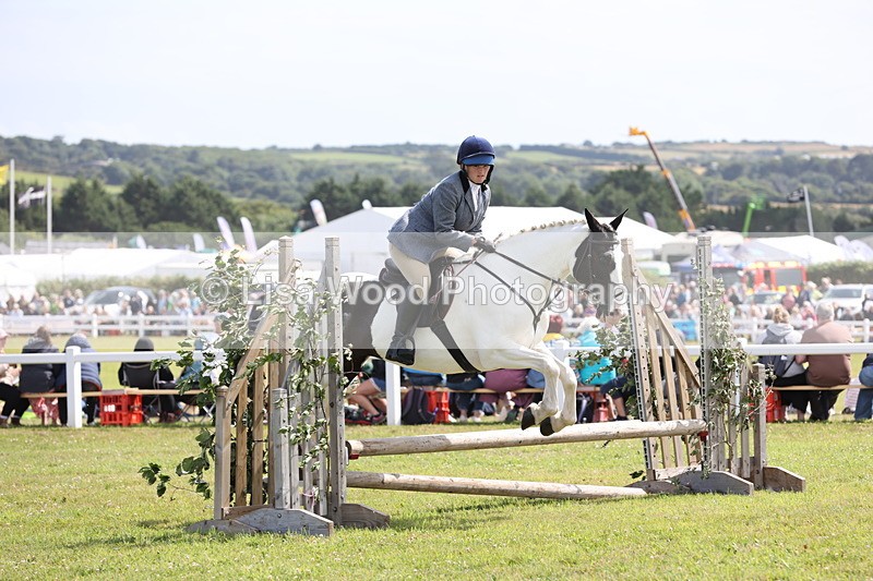 JPP_2196 - Class 19: Working Hunter 60cm