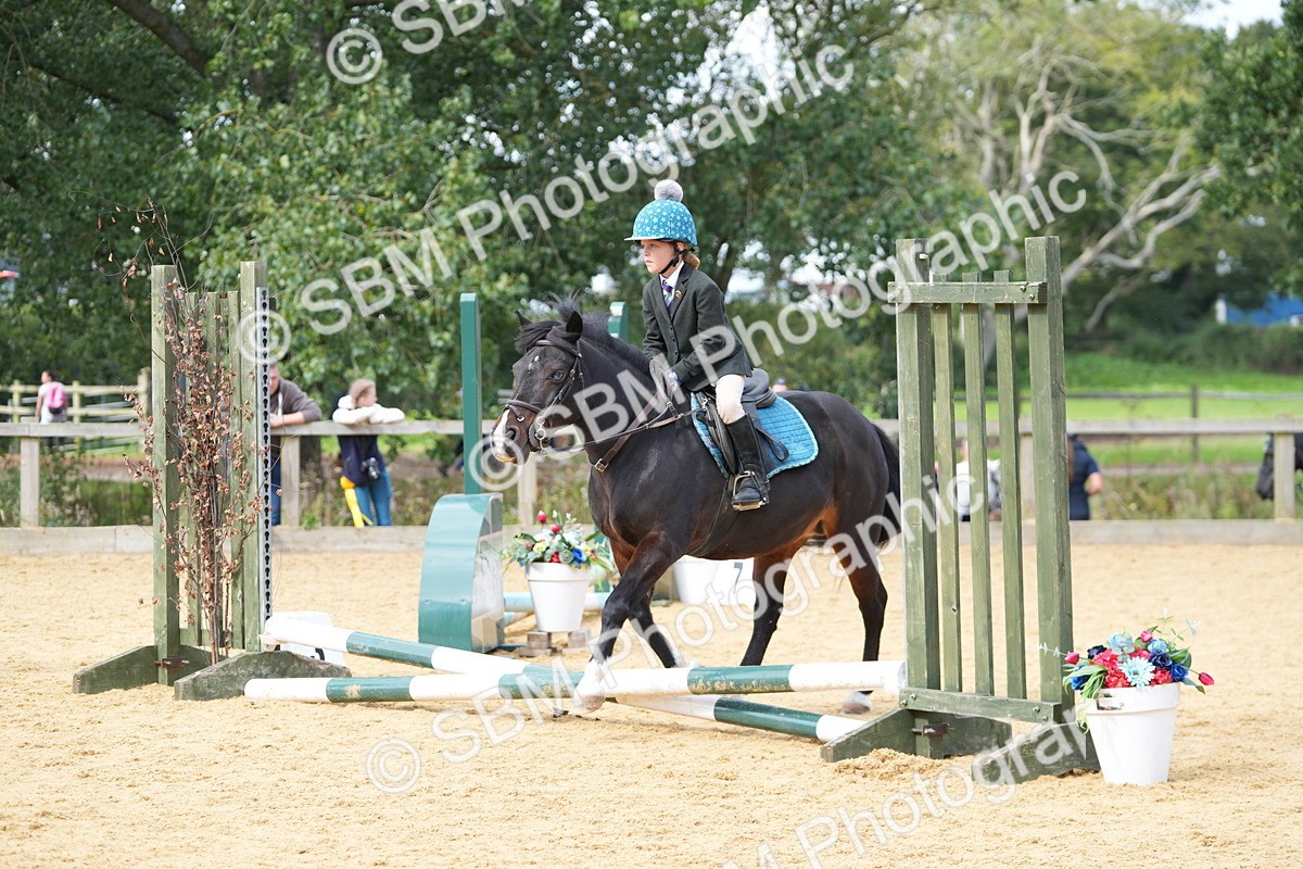 SBM_64570 - J2 - Mini Tour Junior Pony 30cm Championship