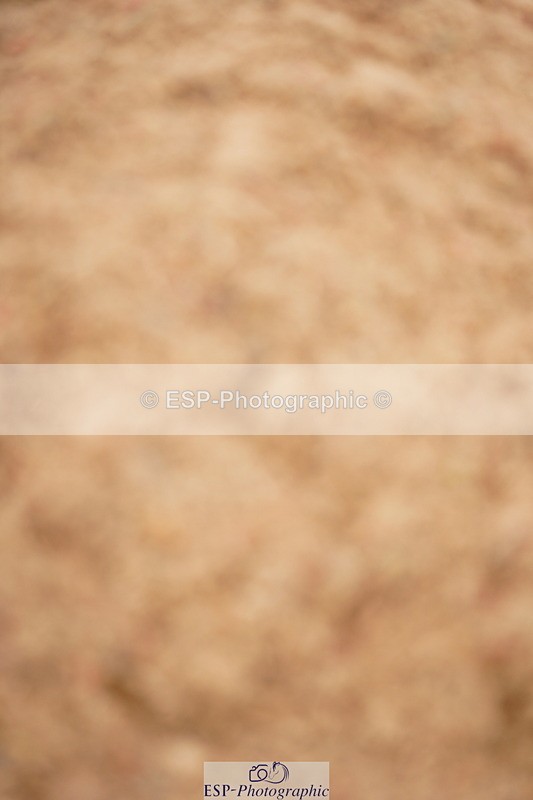 240524A-121042-03397 - Cls 15 Foxhunter