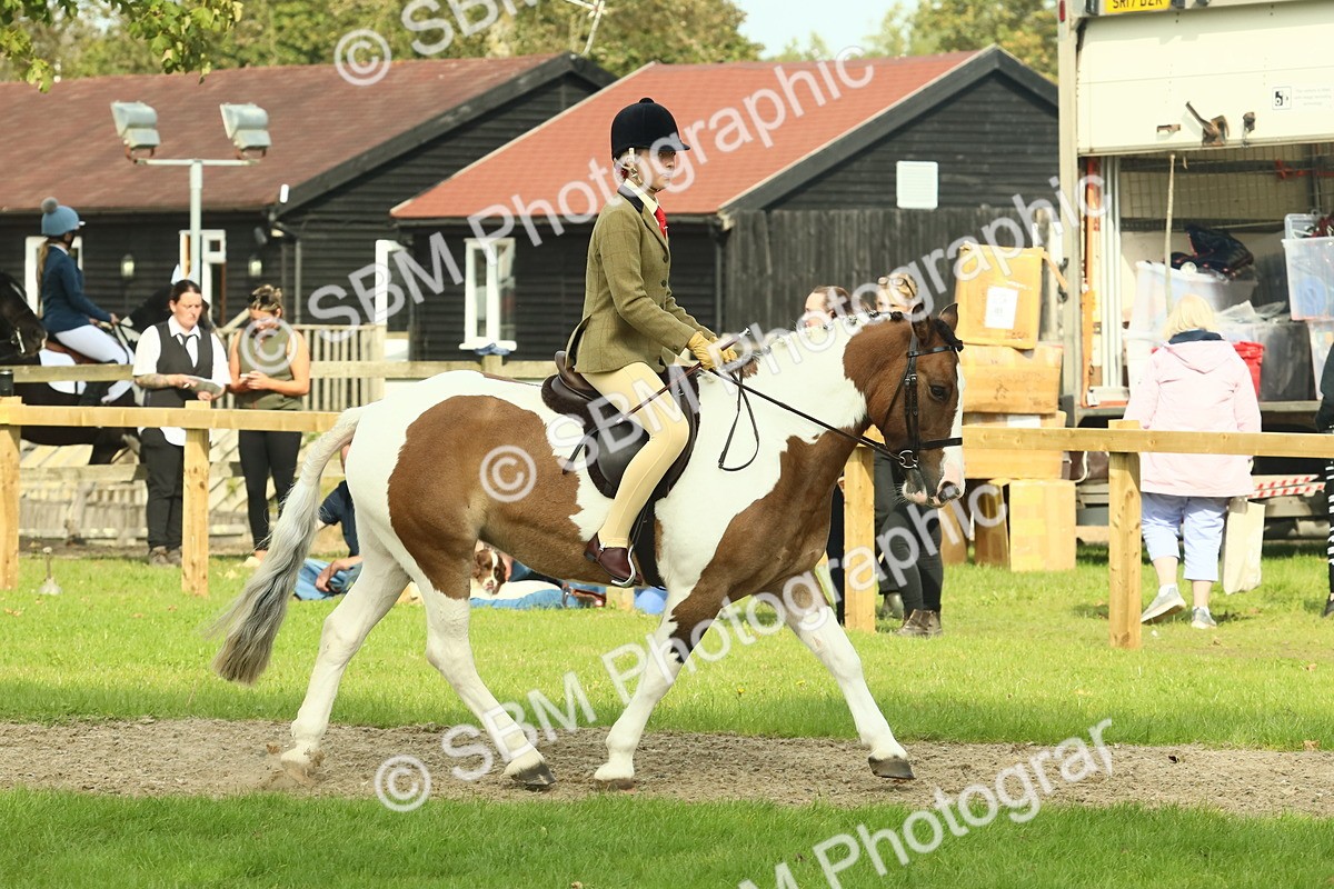 SBM_69022 - S58 - Mini Show Cob Ridden