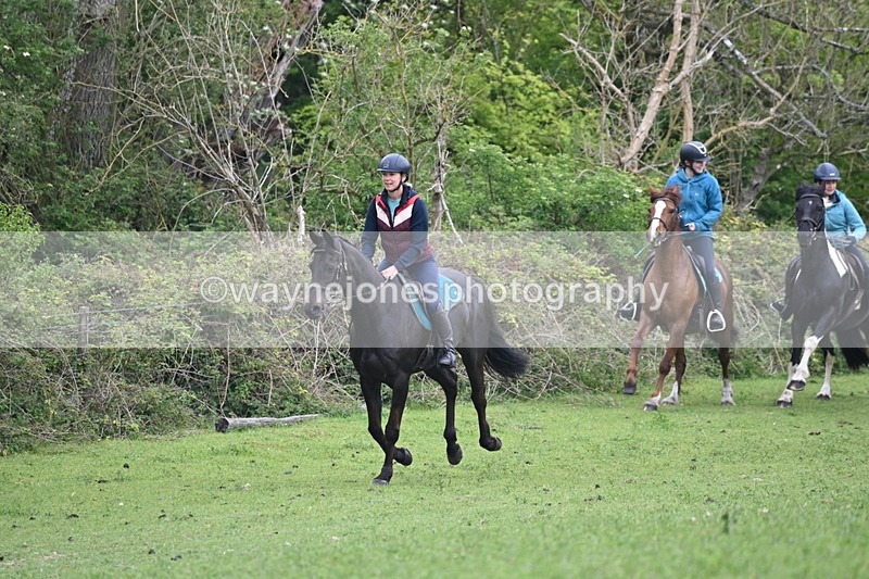 WJ6_2928 - A Camera