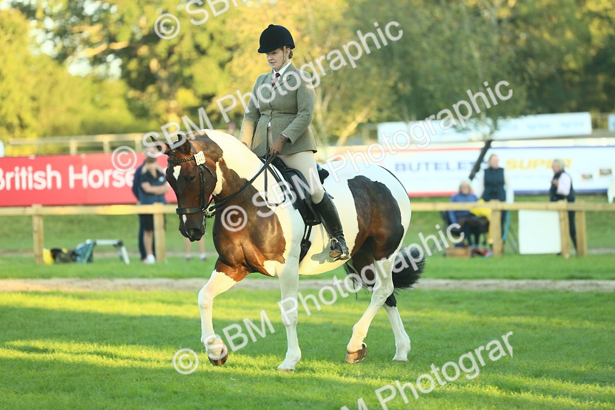 SBM_56494 - S14 - Riding Club Horse