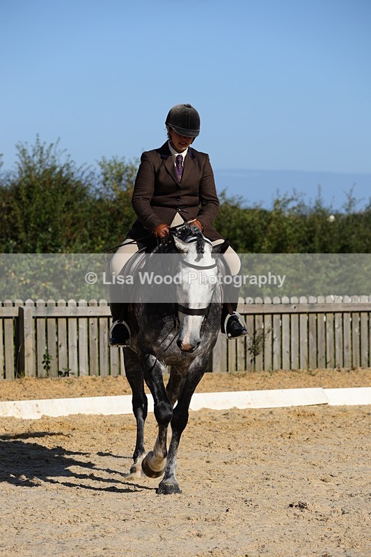 1X9A7681 - Class 8: Small Ridden Hunter