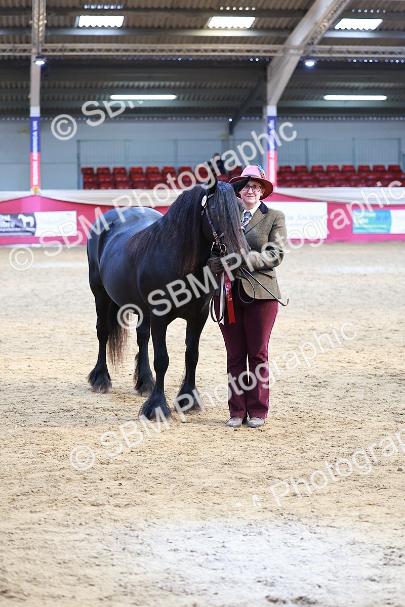 SBM_04332 - Class 9R - IH Pre-Vet