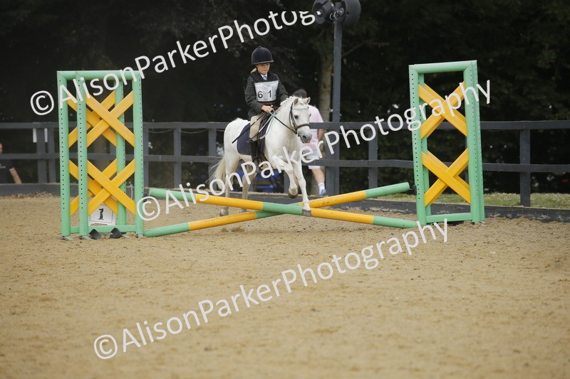 20250622-3719 - 50cm