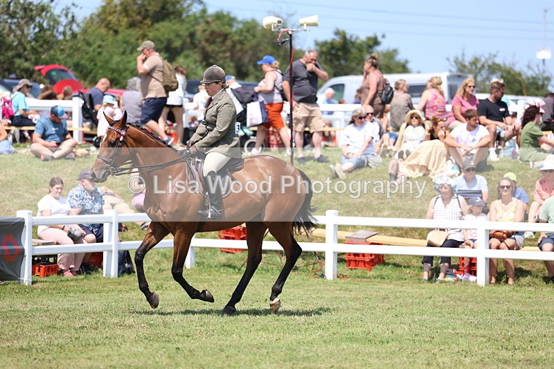 3E7A9347 - Class 12: Open Racehorse to Show Horse