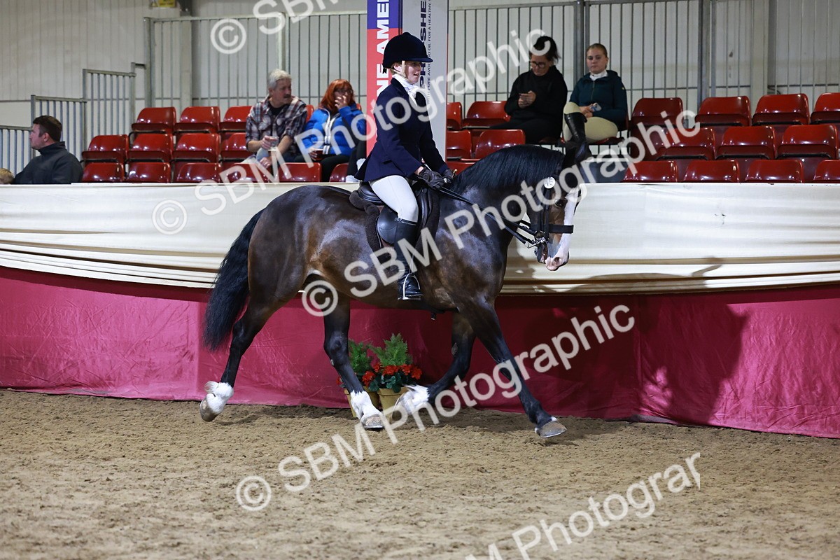 SBM_21341 - Class T - Working Veteran Champs
