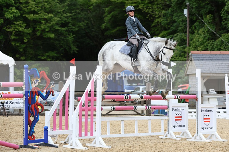 3E7A7539 - Class 8: Senior Foxhunter/1.20 open