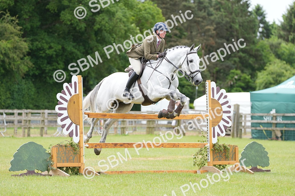 SBM_14993 - Class 100-102 - RIHS Working Hunter