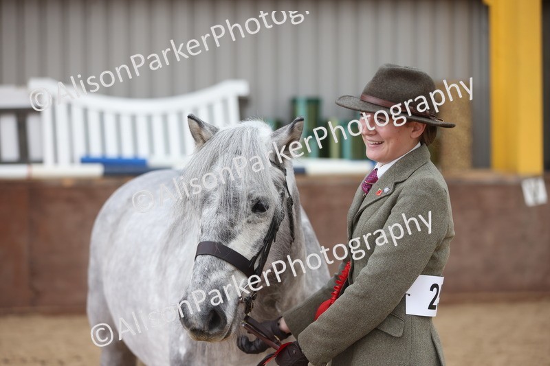 20251109-1045 - Class 28 - Mares 4 Years and over