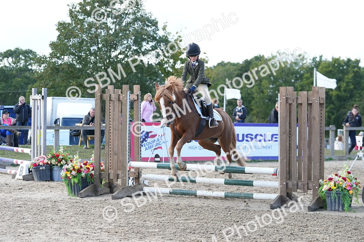 SBM_46729 - J7 - Junior Pony 60cm Championship