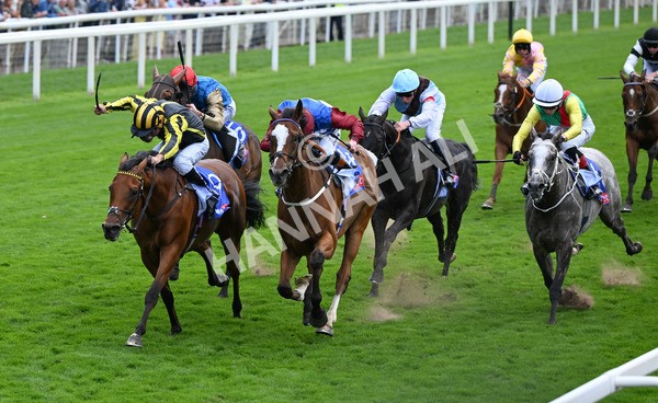 220825-006 Asgards Captain - Race 1 1.50pm Sky Bet Handicap