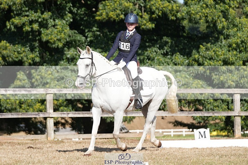 250823A-093101-25683 - Arena A