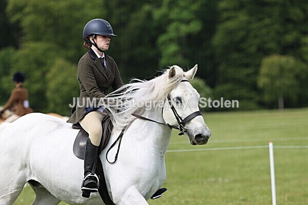 IMG_2706 - Working Hunter