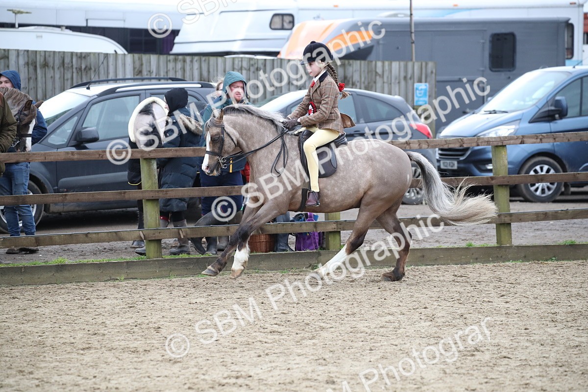 SBM_007105 - Class 10-13 - RIHS Small Large Breeds