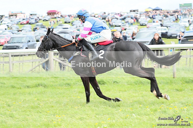 PtP 180426 481 - Worcestershire Hunt PtP Chaddesley Corbett 18/04/26