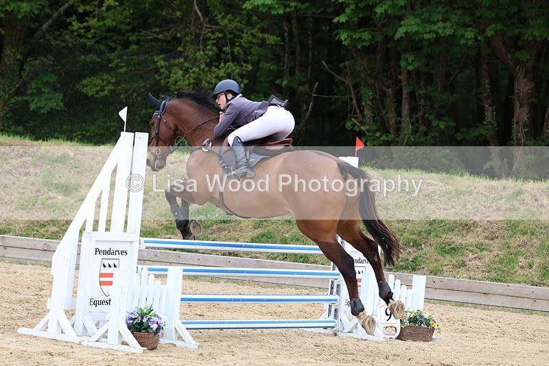 3E7A6500 - Class 4: Senior British Novice/90cm open