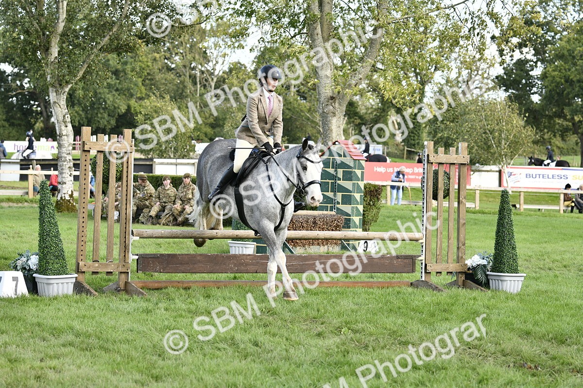 SBM_52194 - S35 - Working Hunter & Working Show Horse
