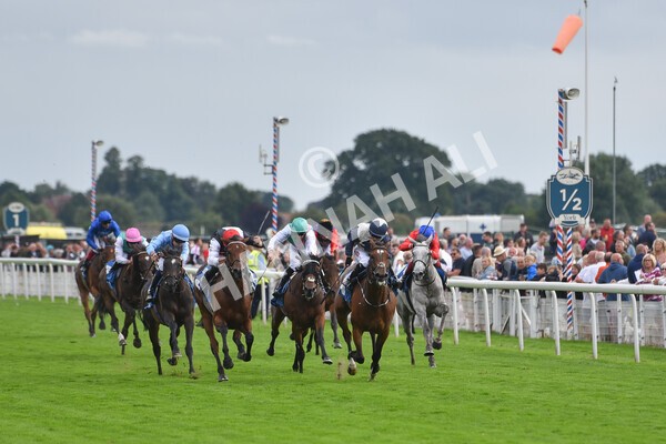 yr19082021r6-18 - Race 6 4.45pm British EBF & Sir Henry Cecil Galtres Stakes