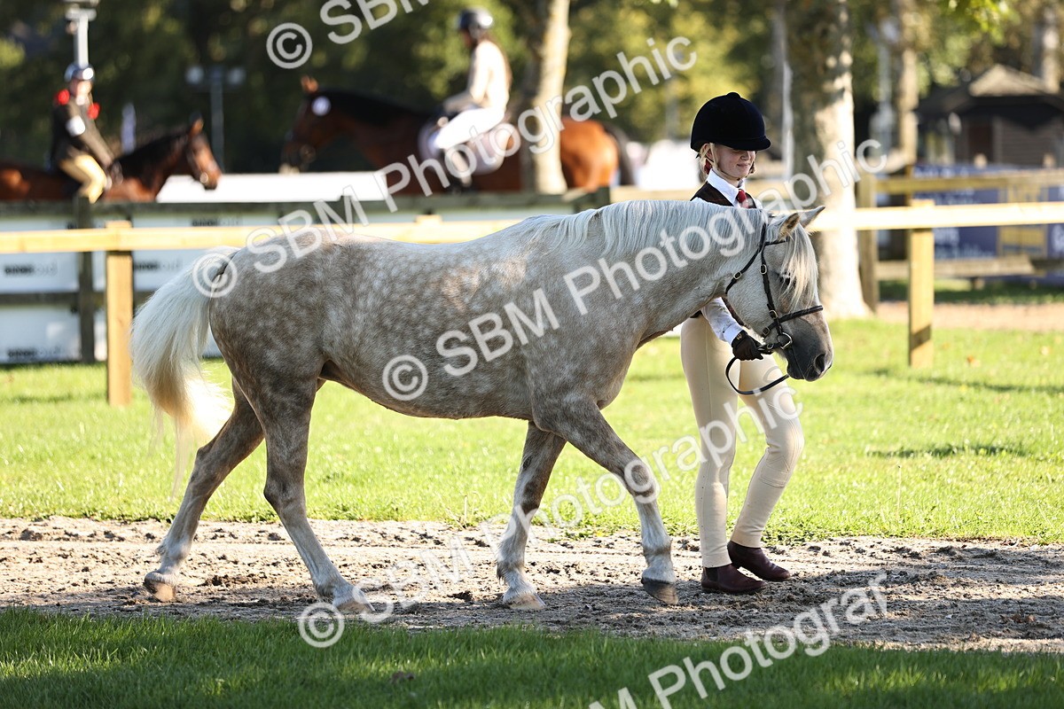 SBM_15831 - S1 - TSR in Hand Horse & Pony Showing