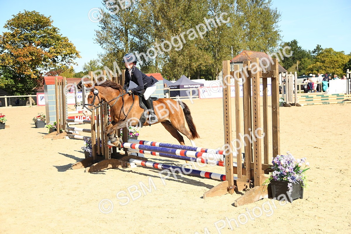 SBM_39301 - J6 - Junior Pony 55cm Championships