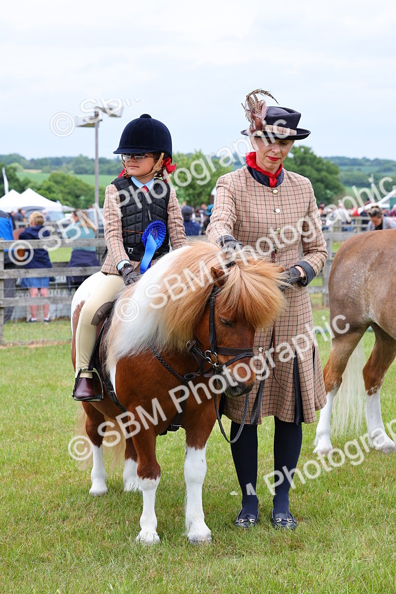 SBM_08363 - Class 42-43 - LIHS BSPS Heritage Working Sports Pony