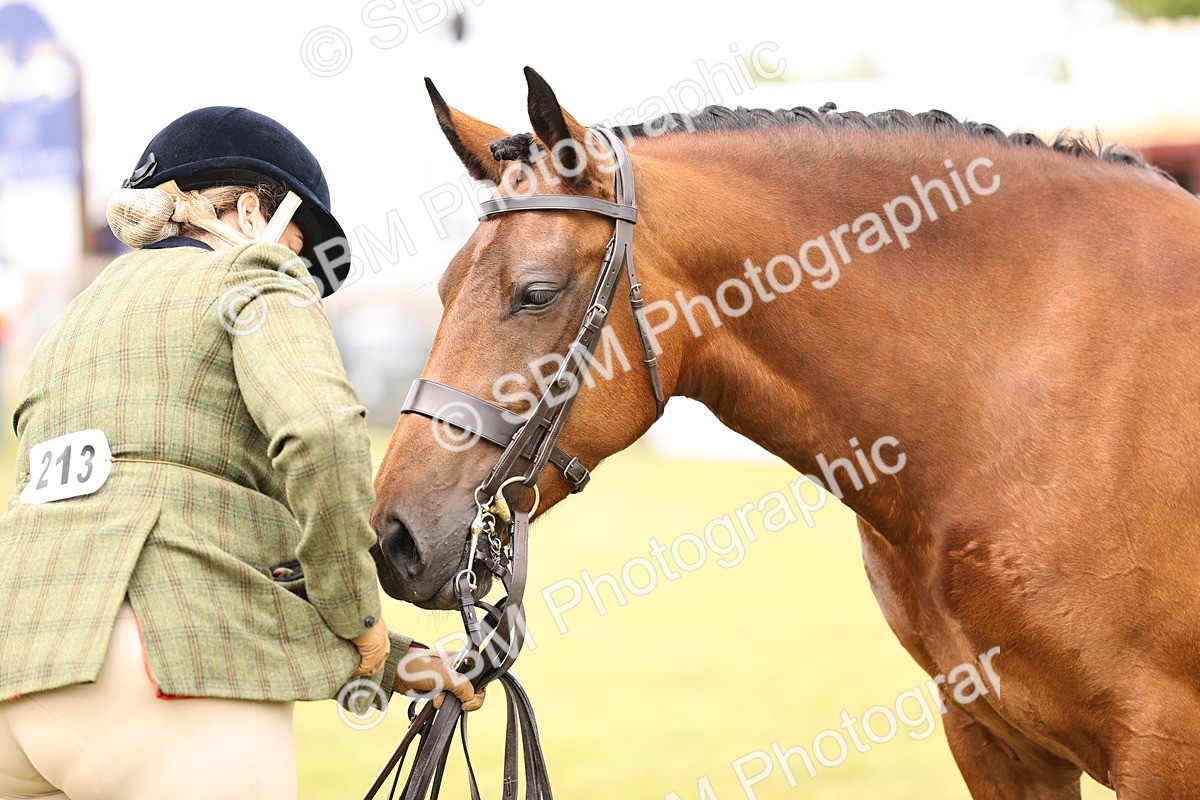 SBM_14619 - Class 88-89 - LIHS BSHA Rising Star of Ridden Hunter Type