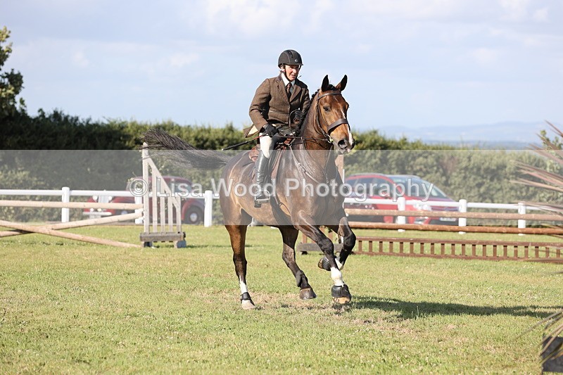 JPP_3079 - Class 21: Working Hunter 80cm