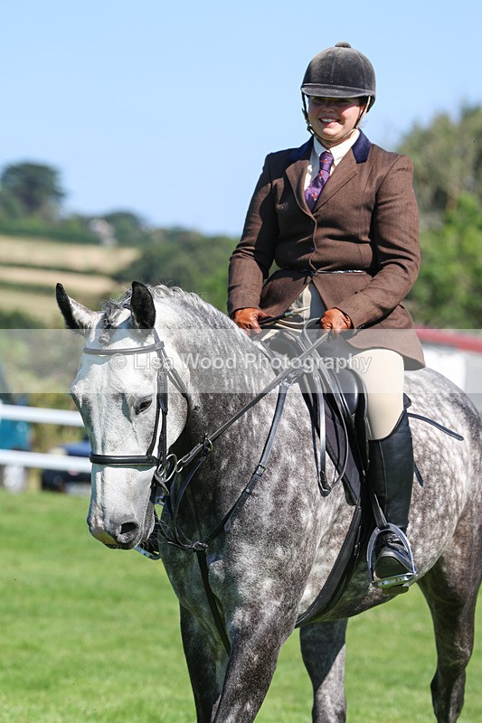 3E7A8269 - Class 4: Novice working Hunter