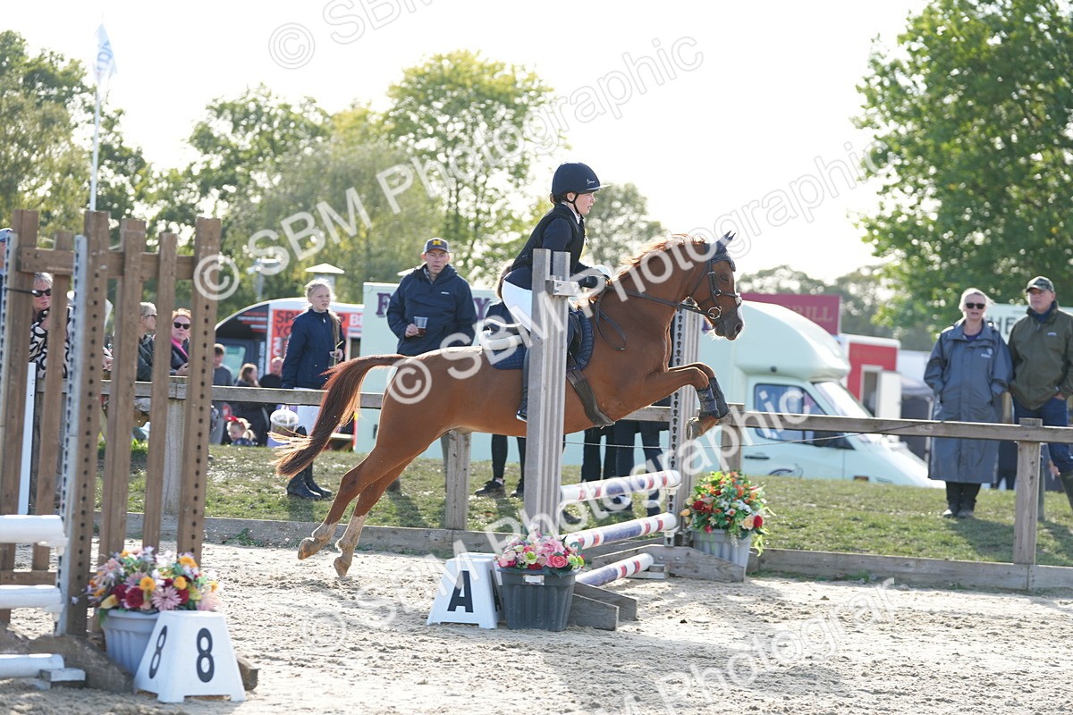 SBM_50996 - J8 - Junior Pony 65cm Championship