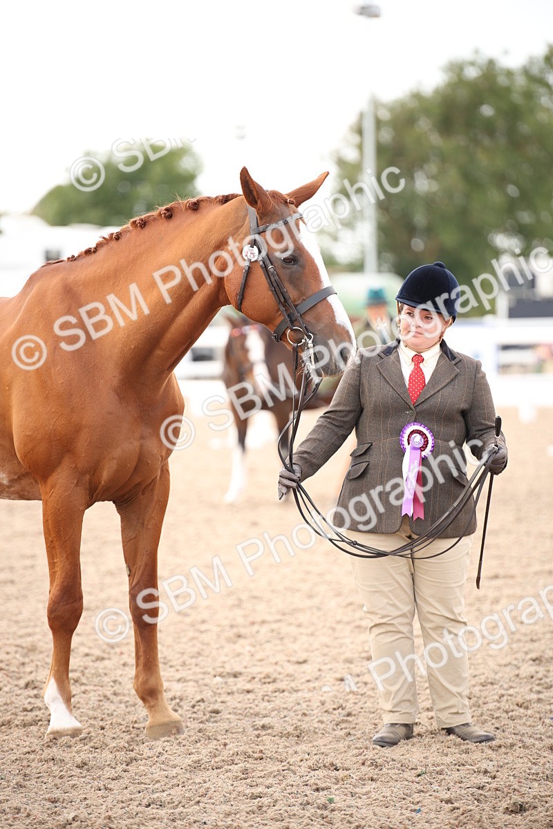SBM_08265 - Class 27 - IH Competition Horse-Pony