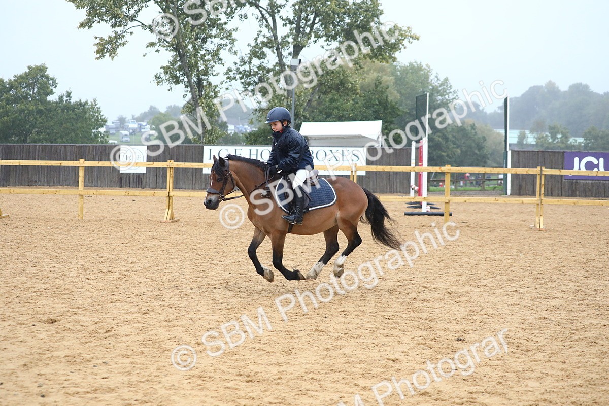 SBM_71752 - J4 - Mini Tour Junior Pony 45cm Championship