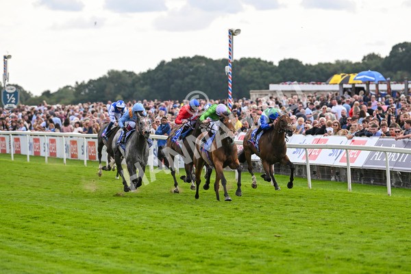 240824-Race 3-Breege-1408 - Race 3 3.00pm Sky Bet City Of York Stakes