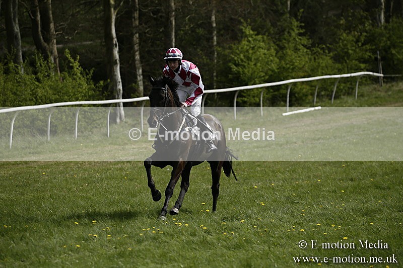 PtP 170417 237 - Old Berks Point-to-Point Lockinge 17/04/17