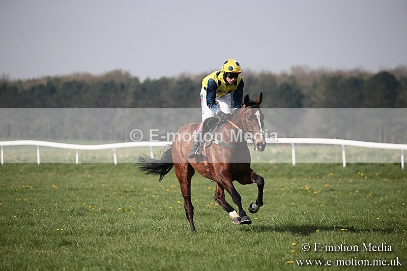 PtP 210418 447 - South & West Wilts Point-to-Point Larkhill 21/04/18