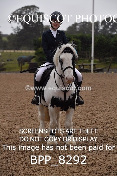 BPP_8292 - CLASS 1 Club/ Unaffiliated 60cms Open