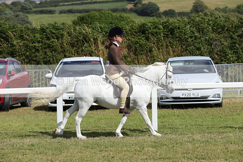 1X9A5685 - Class 40: NPS Welsh A & B