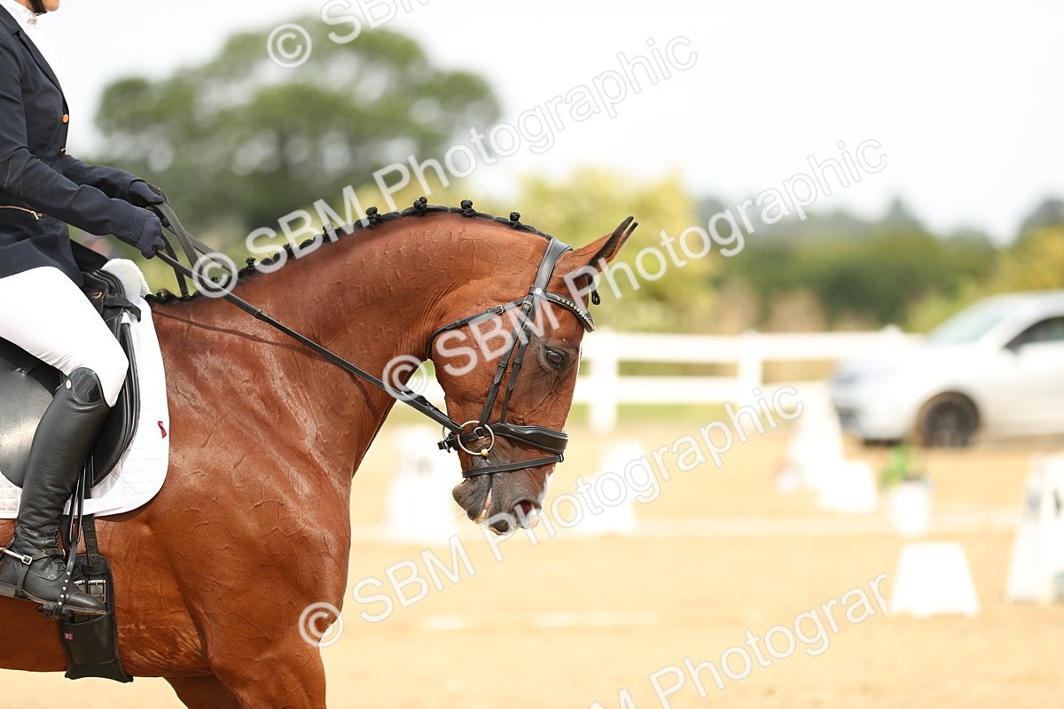 SBM_017668 - Class 13 - Novice 23 - 14.27-15.16