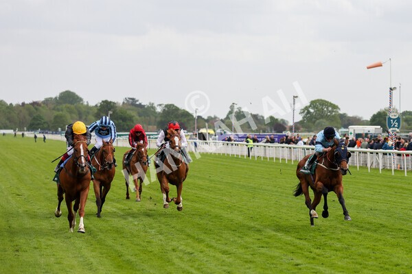 yr13052022r4-57 - Race 4 3.35pm The Paddy Power Yorkshire Cup (British Champions Series Race)