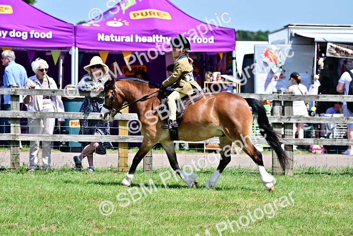 SBM_06042 - Class 59-60 - TSR M&M  Lear Rein and First Ridden Amateur of the year