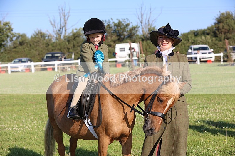 JPP_0910 - Class 16: Cornish Combination Leading Rein