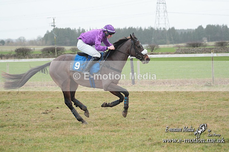 PtP 210124 554 - Cocklebarrow Races Point-to-Point 21/01/24