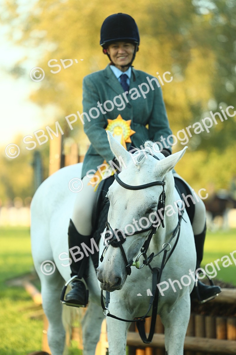 SBM_56575 - S14 - Riding Club Horse