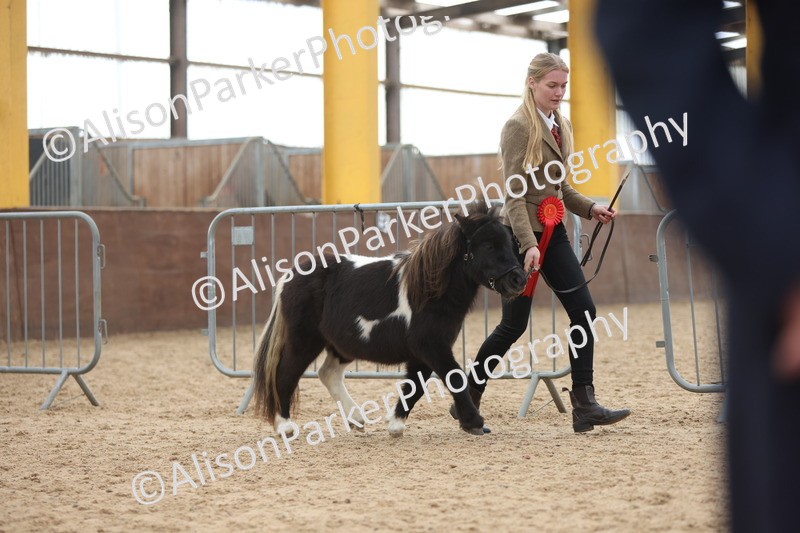 20251109-0443 - Championship