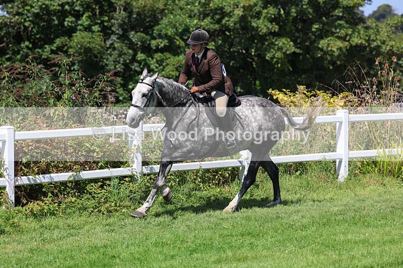 3E7A8997 - Class 6: Open Working Horse