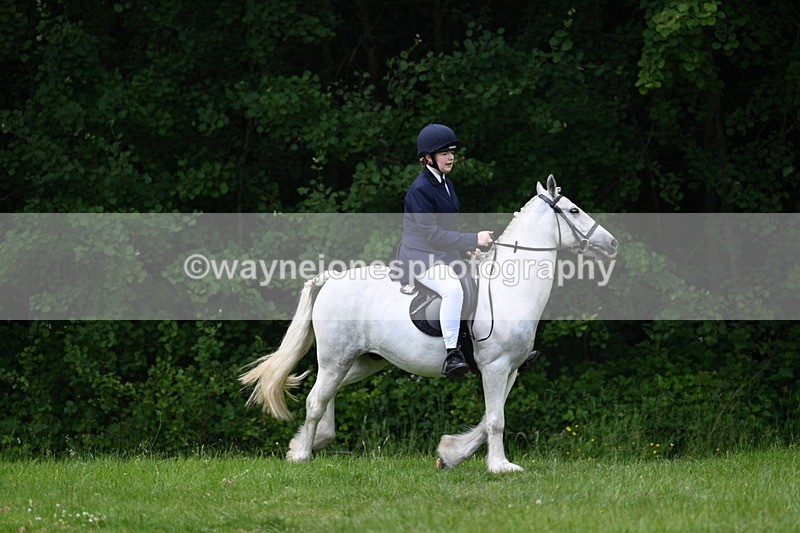 WJ7_2006 - Class 12A Coloured Class