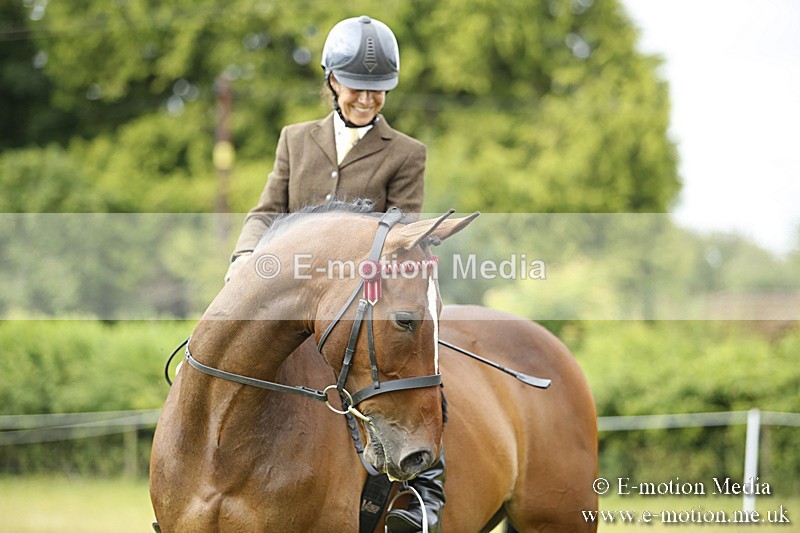 BVR160717-313 - Ring 1 BVRC Show 16/07/17